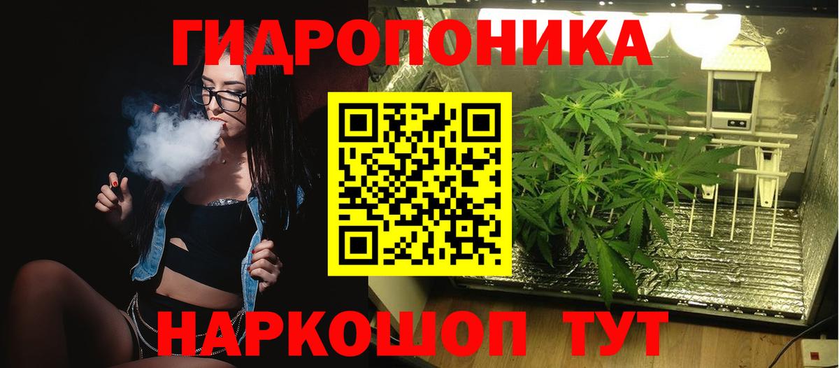 МАРИХУАНА сатива Кузнецк